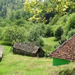 65c23c76 04ad 44ed a2f2 7e1d262baef5 (1)