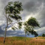 C2309457 df13 4b04 a0bc e9d3e7e56f92