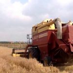 1500274510503624480 1000x669