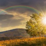 11114474 0955 434c b038 60b2aa569252