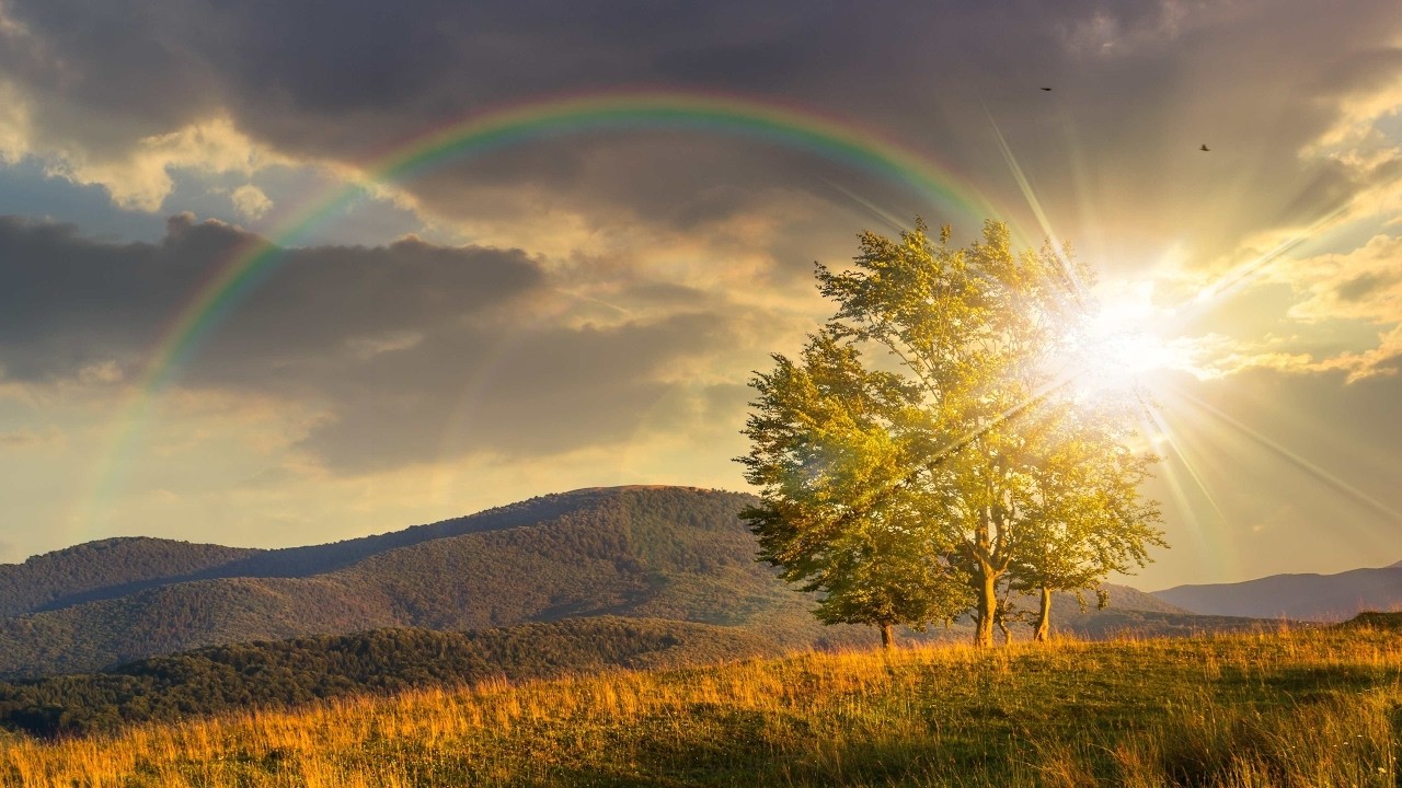 11114474 0955 434c b038 60b2aa569252