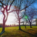 4728d99e 01bd 4789 9f62 20c8174eec52