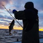 15116167636441126426 1000x669