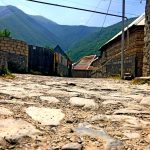 Trend sheki kish mebedi 120819