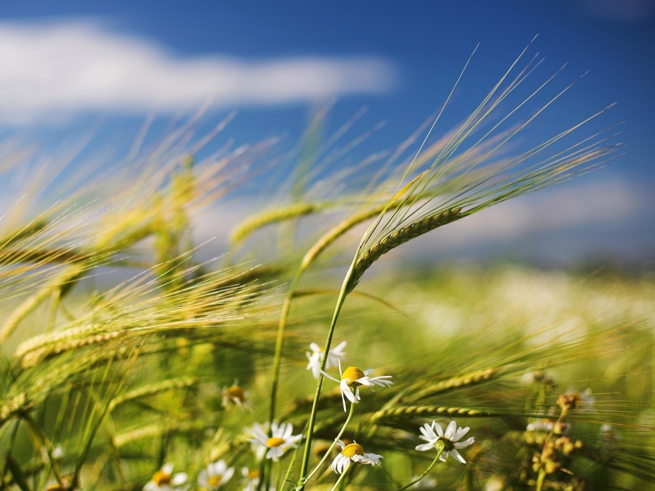 226f97a2 1884 4f72 8c46 2d53ddebf082