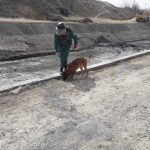 7c00d1e9 58b5 4271 875c effb3158699e