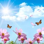 Bcc1c933 890f 47be 8245 4b7d6ad79e06