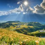 C7dede99 8bdf 4443 92eb 76294cb9ea1b