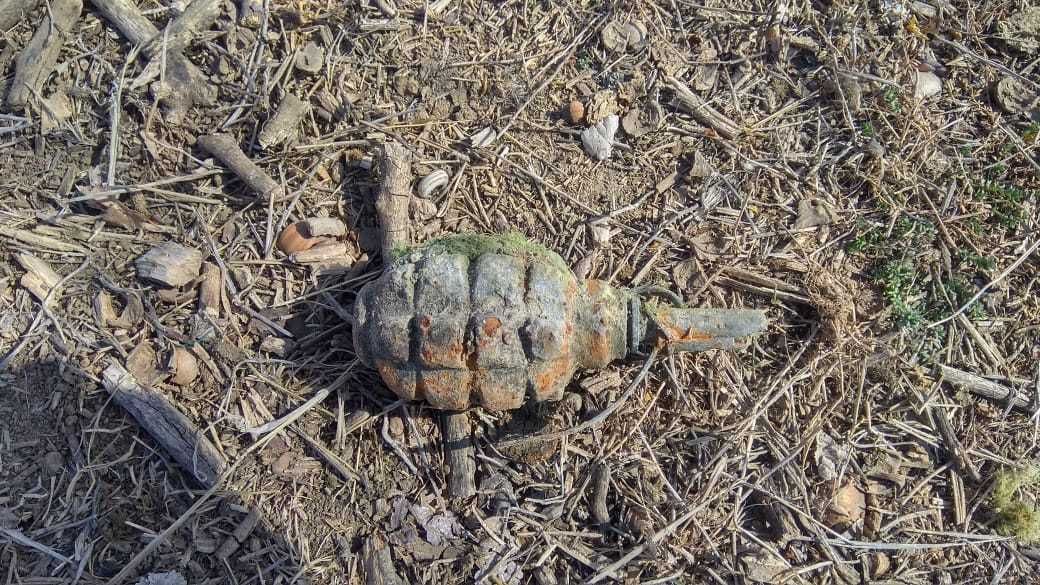 E90098c7 b41b 4bf8 a8e0 4f4984ca9d8a