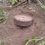 260cfb6d 5135 4025 a800 7b3d92e34e5a