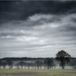 4d788ffb dfac 4539 8772 7fdf80426f95