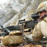 Cd56933c 18fc 4d2c 8ecb a521695ff011