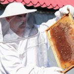 1588846743402 840PYAYw