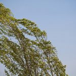 803c43b9 714a 46bd a6bc 15c9aca41fb9