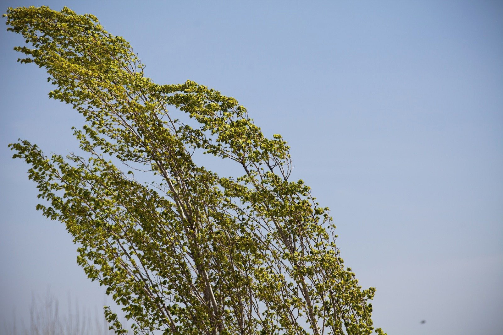 803c43b9 714a 46bd a6bc 15c9aca41fb9