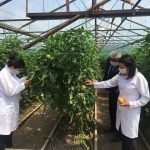 9f286210 f030 4cd6 8002 cfb09a15cfb4