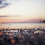 80a40ea2 c635 4682 91af 7a7fe3b7c4fa