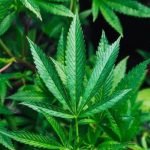 285c2ad1 05d7 361e a146 62ecd5d77a72