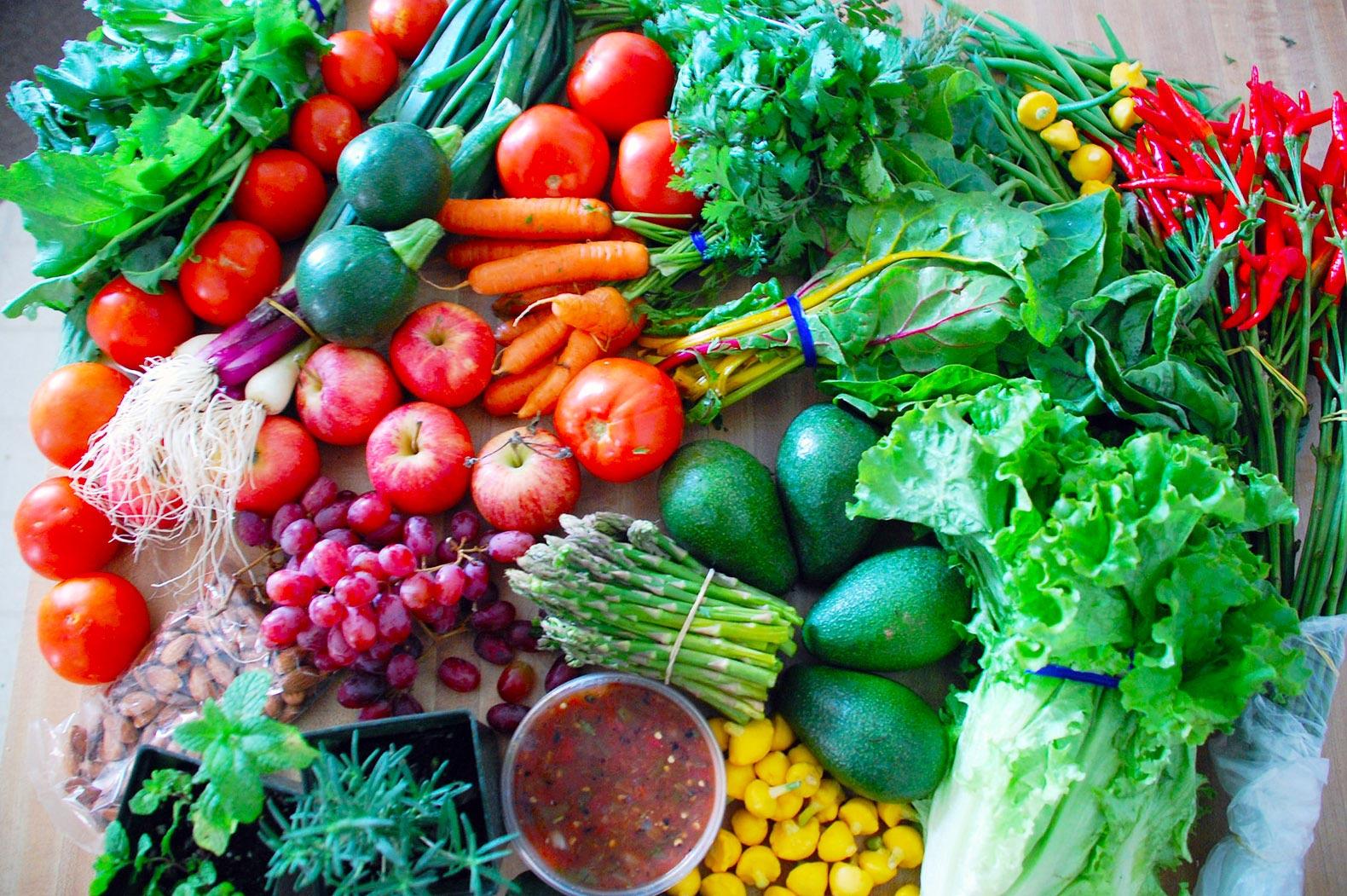 4c246fee e5ba 3829 b84e 12b84ba6105c