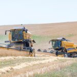 9c2c4109 3c21 3dc9 a1a7 94cf0feeca33