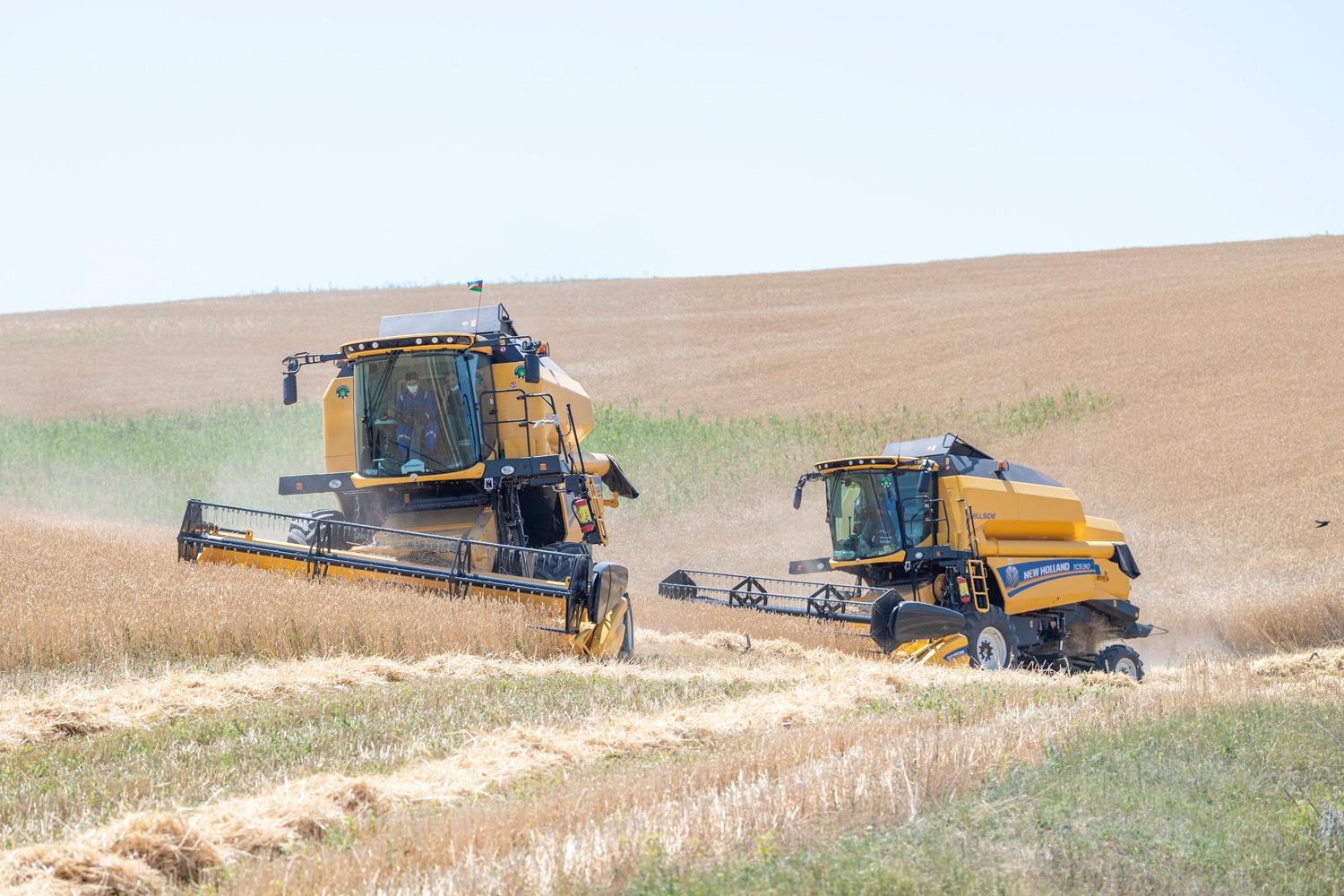 9c2c4109 3c21 3dc9 a1a7 94cf0feeca33