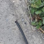 WhatsApp Image 2020 07 14 at 21.05.48