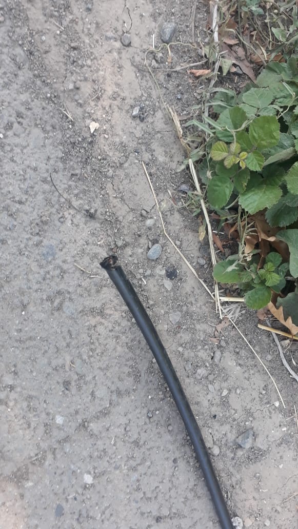 WhatsApp Image 2020 07 14 at 21.05.48