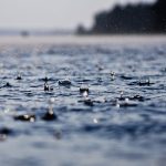 3fb39c76 cf8b 413e ad23 19421534d2d1