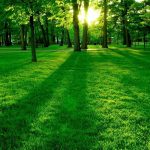 6b4f10ea aca3 304e 9749 38718ca4e165