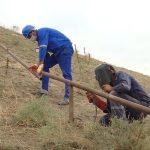 7707407d 3c93 3149 ac42 5072dfabe7b6