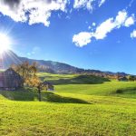 95cf597f 6420 3cf0 9311 19162cf194d0