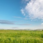 08c7d451 a69c 34bb a90d 5e3b8542f2f2