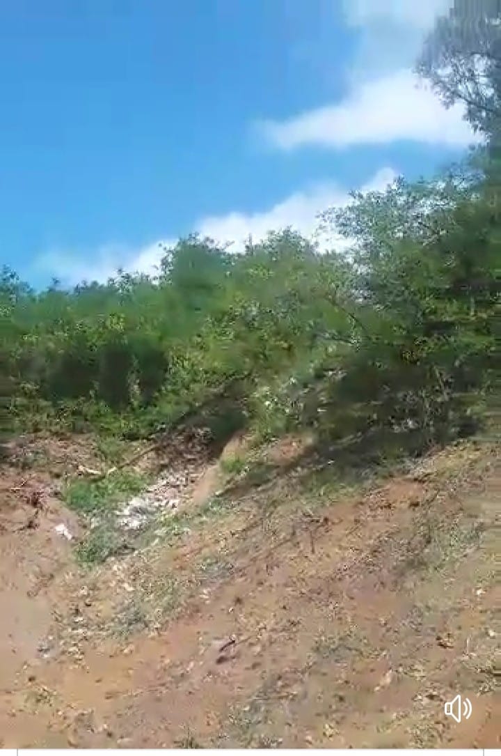 120224297 2682454071968030 6338658936740008735 o