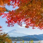 5e35297c a881 3871 b92b f10868283139