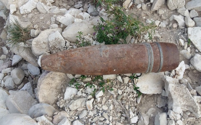 62e05e0d 04f2 37cc a63c f47c6437629b