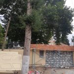 6491eb06 2395 40f7 b5ff b3f327da6540