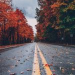 8bebe18e 9c3d 3159 8961 e1f8f513cf26