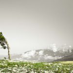 Acd16818 17a7 3c46 bd57 bae8e2f4cef3