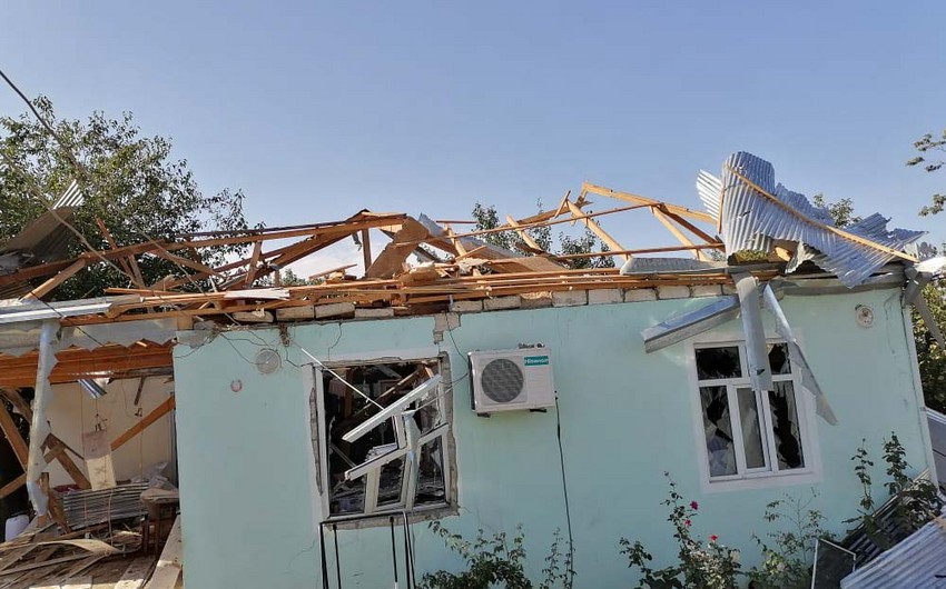 02c3012a c66c 3da7 8da5 59bebc17206f