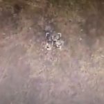 17e47888 85ff 3463 9aa4 a07d52af7cfb