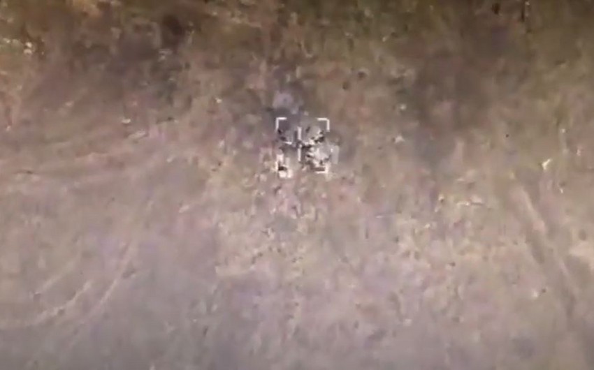 17e47888 85ff 3463 9aa4 a07d52af7cfb