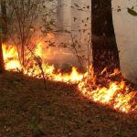 30949fe4 18bf 3120 bdf0 72c8bb5c124c