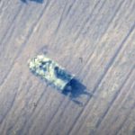 3e52bff1 069a 3a24 bf11 924bbdc56dfd