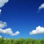 5f84c53f 890f 3cac 8ced 19e0ff3c3751