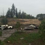 6533df1a af17 3fd7 8540 a9953cbdb0f8