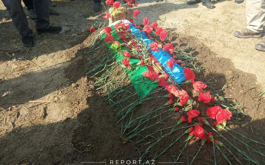 6ab16d91 5386 3cf1 b3d1 f7b34043c87b