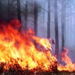 73e9bc60 0088 3290 a077 3beea1373229