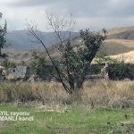 B35546ce 2a2b 3c52 a5f9 183cc4005c02