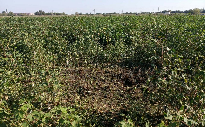 E0569680 fabd 3f8f a4c7 8deea4664846