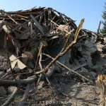 E218e2f0 f064 358c 959b a91b442b74e2